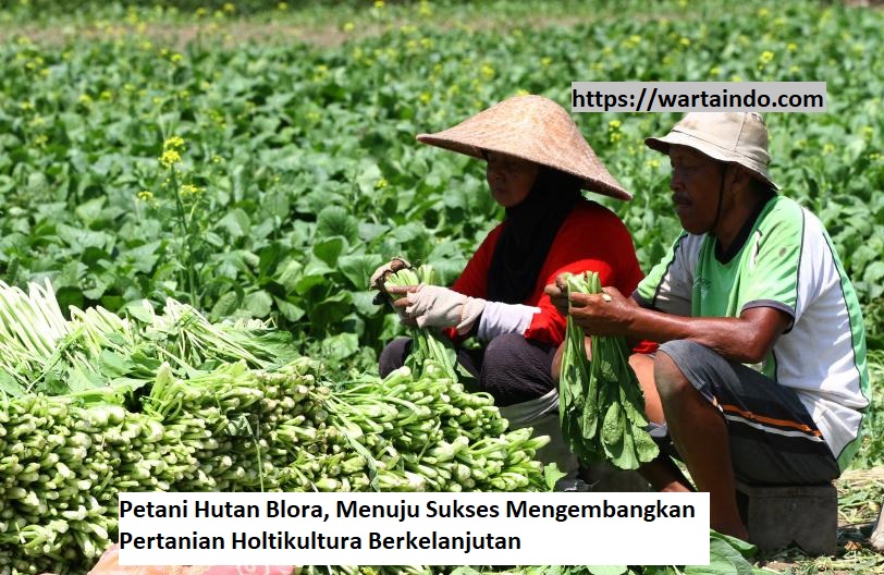 Partisipasi Jadi Kunci: Dampingi Plasma Tani Petani Hutan